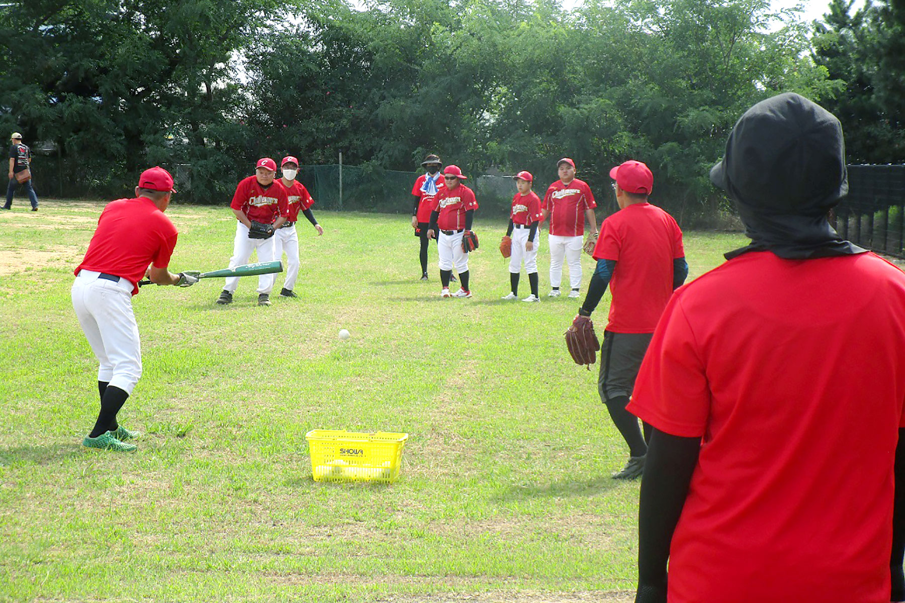 芝の上でノック